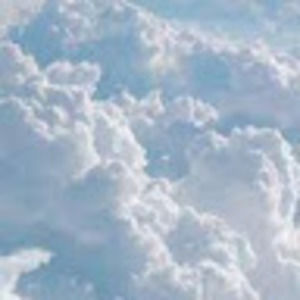 Meet your Posher, Rylee